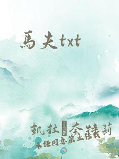 马夫txt