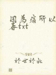 因为痛所以叫青春txt