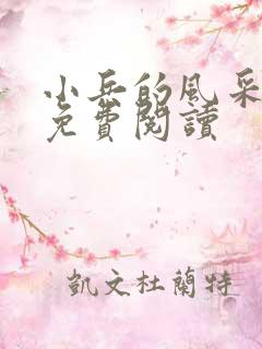 小兵的风采小说免费阅读