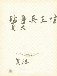 贴身兵王俏总裁夏天