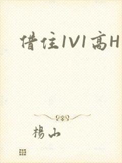 借住1V1高H