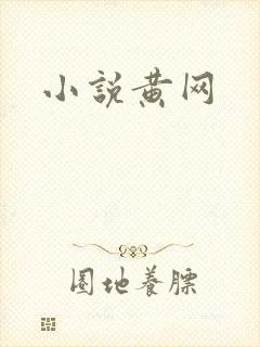小说黄网