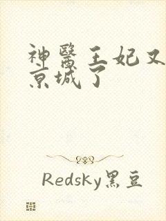 神医王妃又轰动京城了