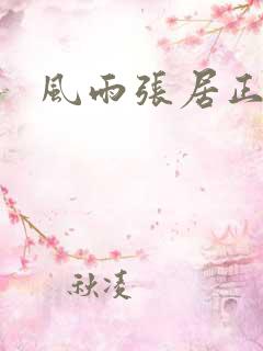 风雨张居正下载