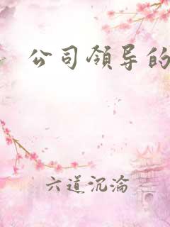 公司领导的老婆