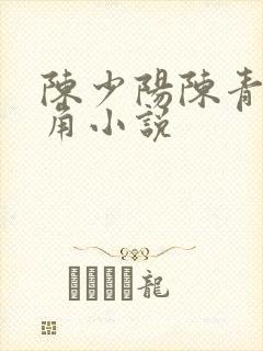 陈少阳陈青帝主角小说