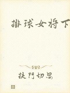 排球女将下载