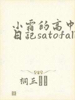 小霜的高中成长日记satofall