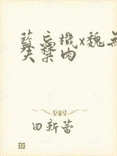 蓝忘机x魏无羡失禁肉