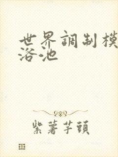 世界调制模式女浴池