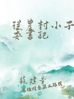 从农村小子到省委书记