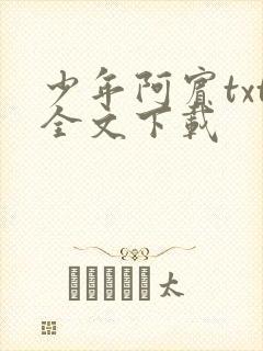 少年阿宾txt全文下载