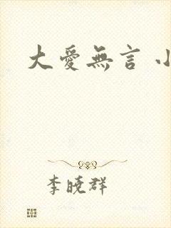 大爱无言 小说