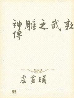 神雕之武敦儒大传