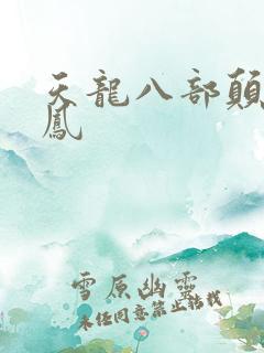 天龙八部颠龙鸾凤