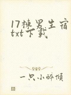 17栋男生宿舍txt下载