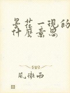 昙花一现的现是什么意思