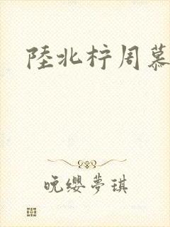陆北柠周慕深