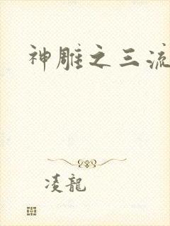 神雕之三流