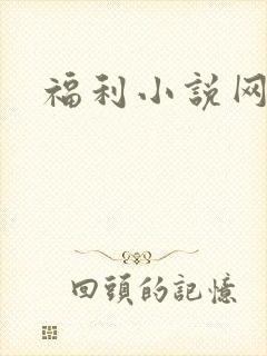福利小说网
