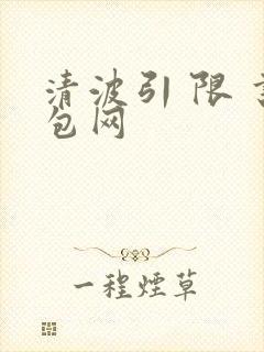 清波引 限 书包网
