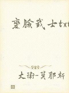 变脸武士txt