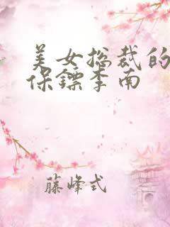 美女总裁的护花保镖李南