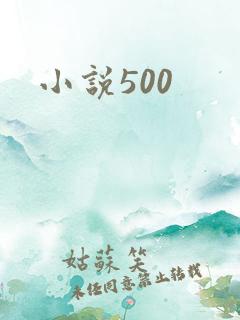 小说500