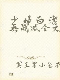 少 妇 白 洁无删减全文阅读