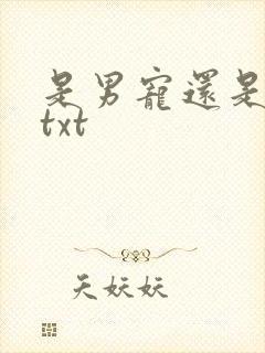 是男宠还是禁脔txt