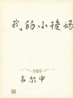 我的小后妈小说