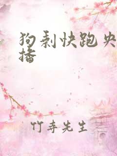 狗剩快跑央八首播