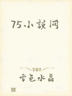 75小说网