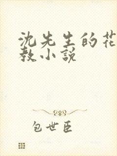 沈先生的花式调教小说