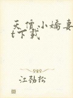 天价小娇妻txt下载