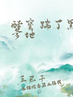 酷宝 踹了黑道爹地