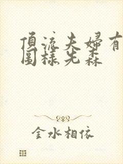 顶流夫妇有点甜图样先森