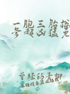 一胞三胎总裁爹爹超凶猛免费阅读