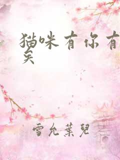 猫咪有你有我足矣