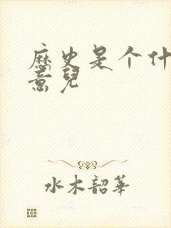 历史是个什么玩意儿