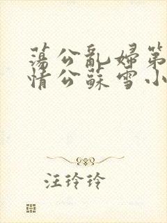 荡公乱妇第1章情公苏雪小说