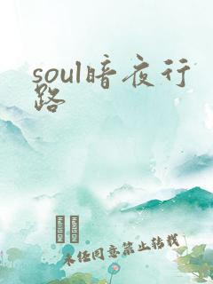 soul暗夜行路