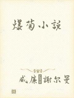 爆菊小说