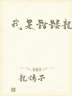 我是骷髅龙骑兵