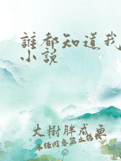 谁都知道我爱你小说