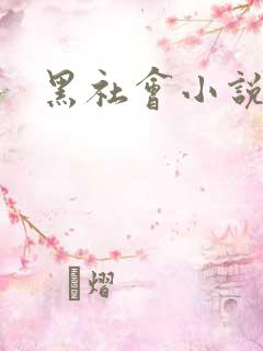 黑社会小说下载