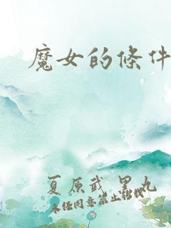 魔女的条件综漫