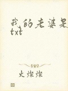 我的老婆是上司txt