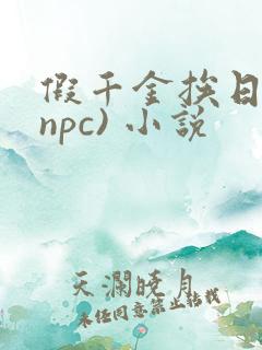 假千金挨日记(npc) 小说