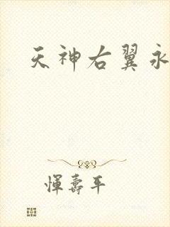 天神右翼永恒